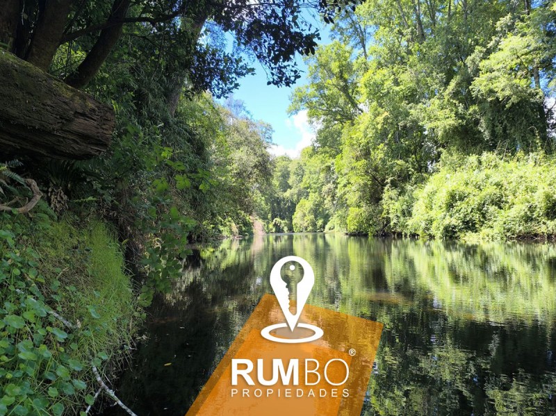 Campo 35 Hectáreas Con Río