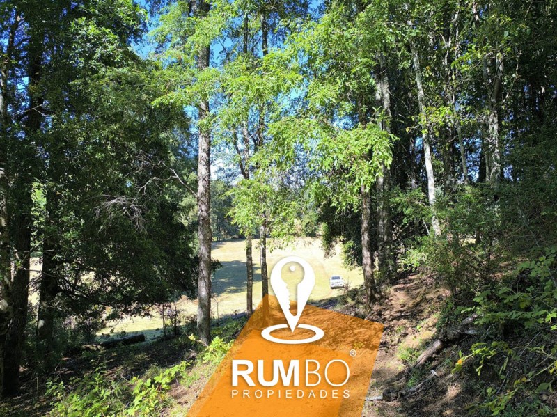 Campo 23 Hectáreas Con 2 Casas