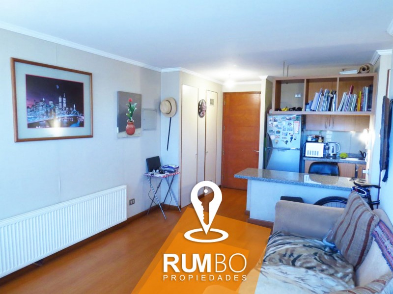 Departamento Frente Al Lago Villarrica