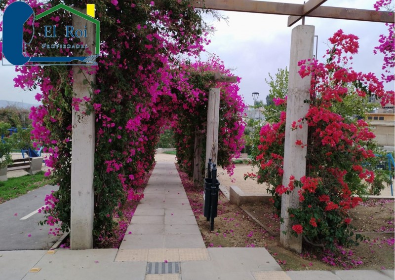 Amplia Casa de un Piso – Villa Alemana