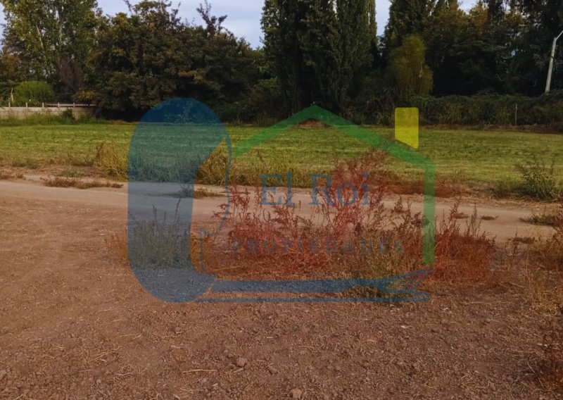 Amplia Parcela – los Andes