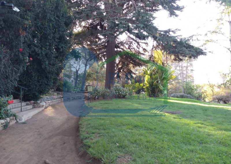 Amplio Departamento en Octavo Piso – Forestal