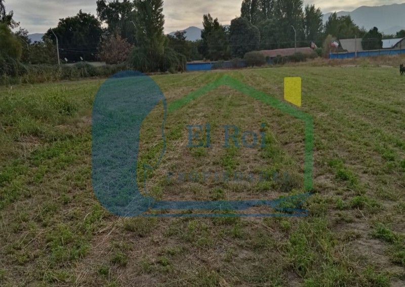 Amplia Parcela – los Andes