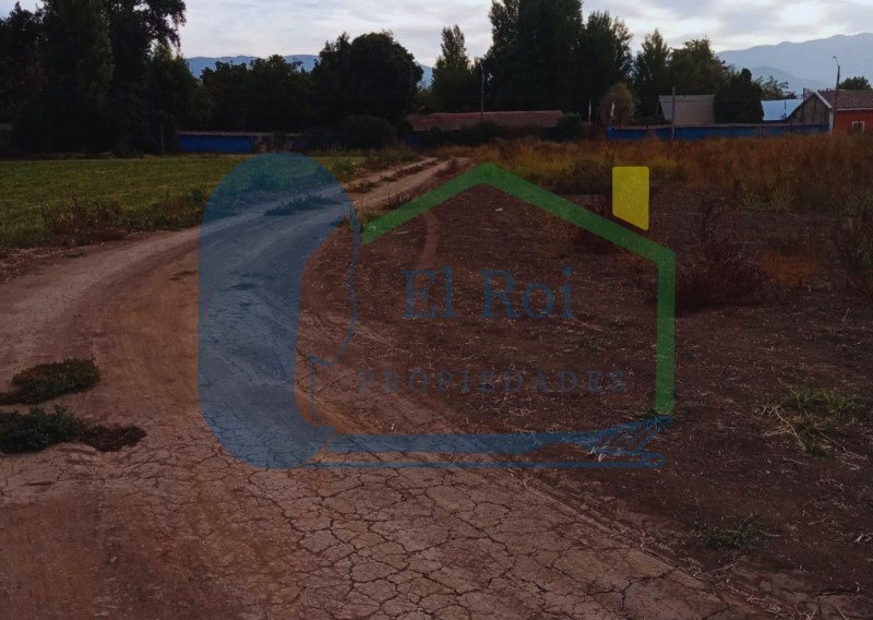 Amplia Parcela – los Andes