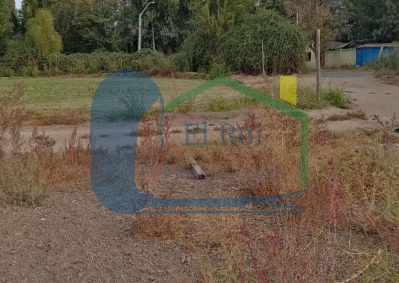 Amplia Parcela – los Andes