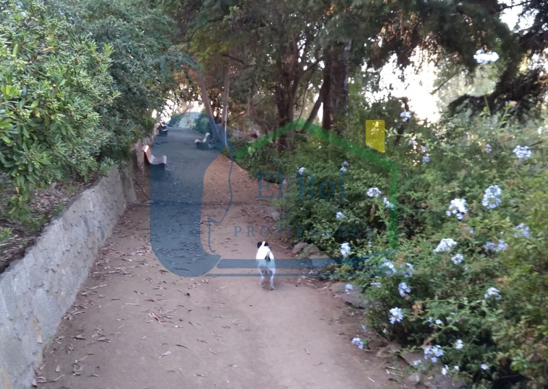 Amplio Departamento en Octavo Piso – Forestal