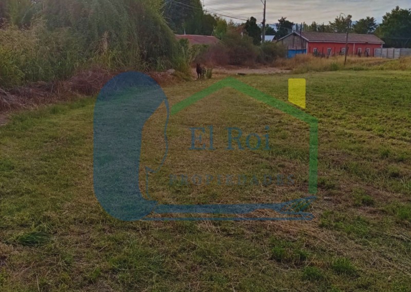 Amplia Parcela – los Andes