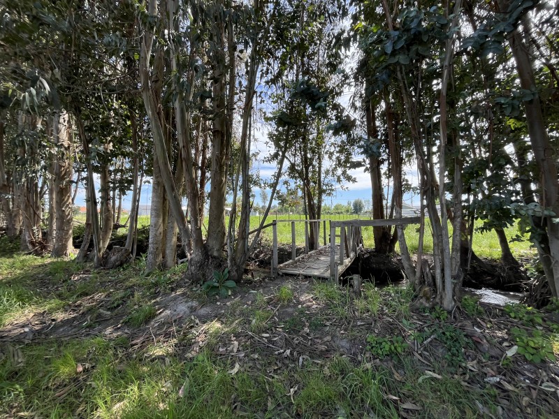 Venta Casa Principal y Casa Anexa en Parcela de 5Mil Mts2.