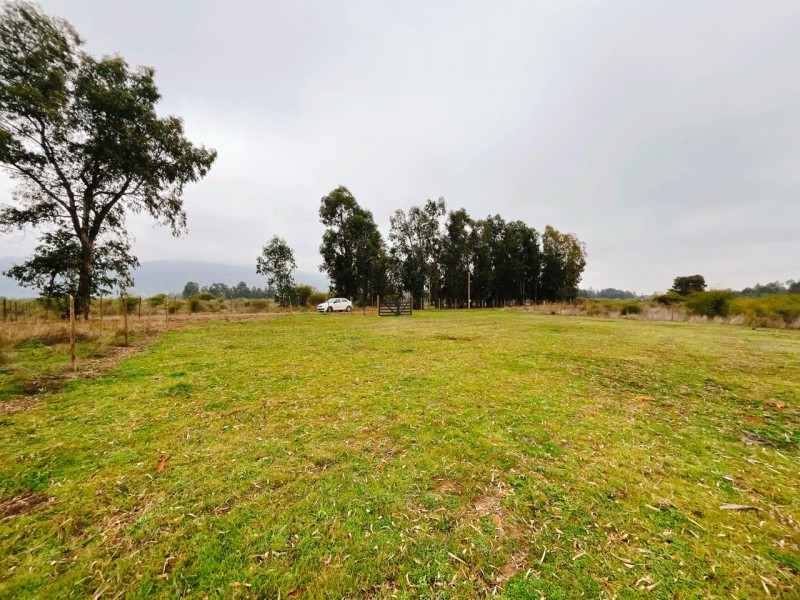 Fotografía de Se Vende Parcela de 5.500 Mts2 en los Maquis, San Rafael