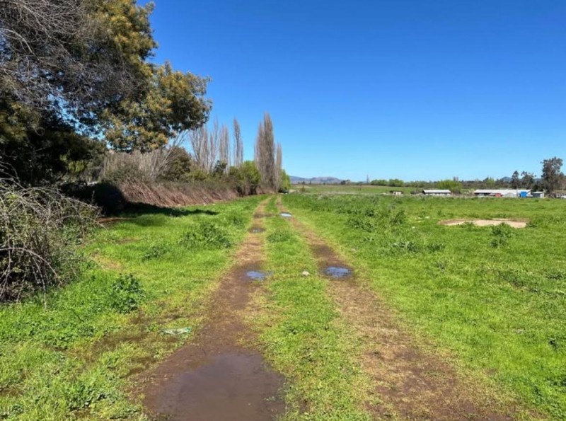 Se Vende Parcela de 5.200 Mts2 Punta Diamante San Clemente