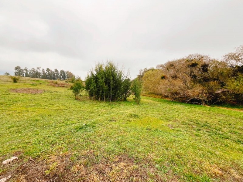 Se Vende Parcela de 5.500 Mts2 en los Maquis, San Rafael