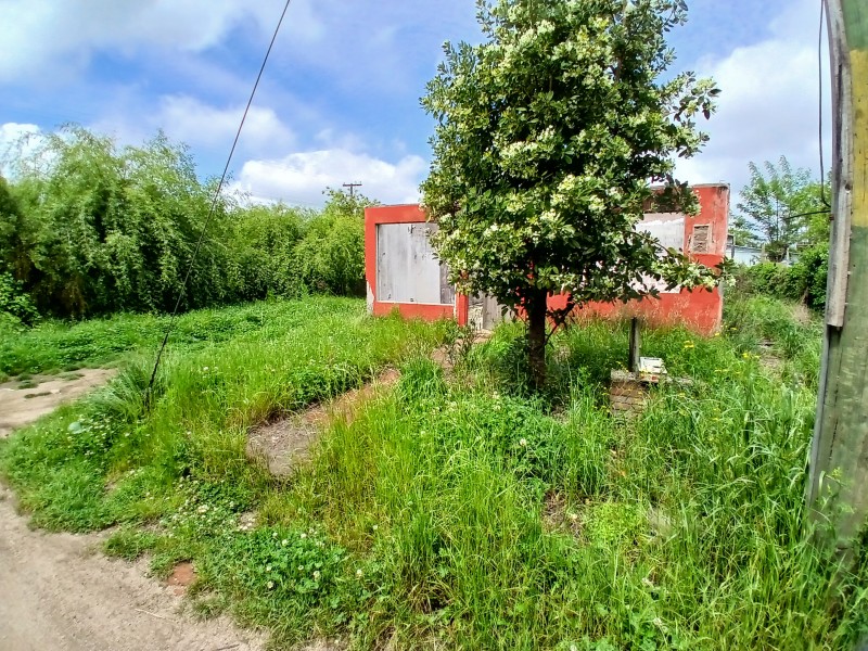 Venta de Terreno de 300 Mts2 Sector el Ajial, Parral.