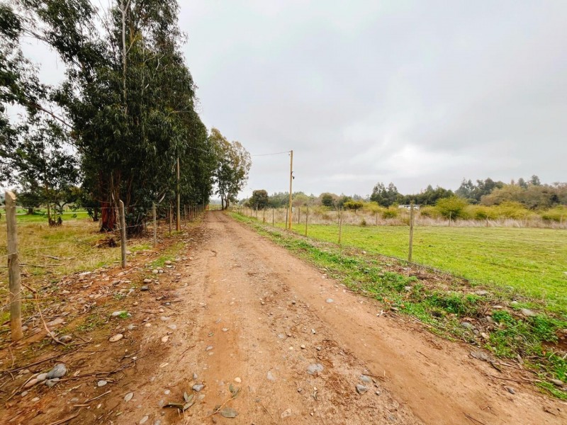 Se Vende Parcela de 5.500 Mts2 en los Maquis, San Rafael