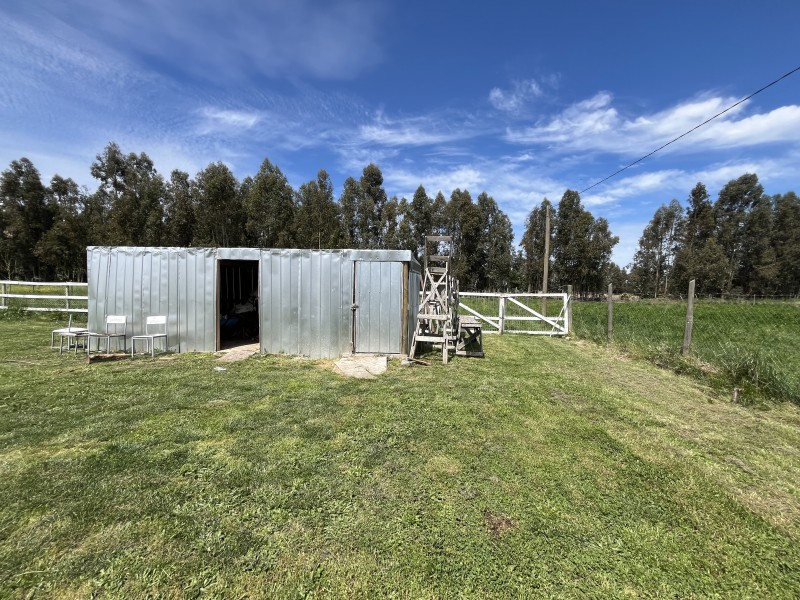 Venta Casa Principal y Casa Anexa en Parcela de 5Mil Mts2.