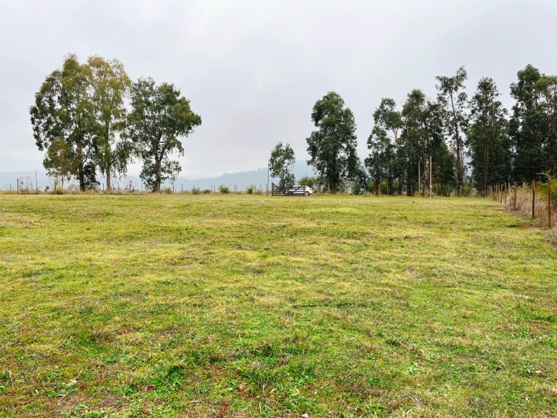 Se Vende Parcela de 5.500 Mts2 en los Maquis, San Rafael
