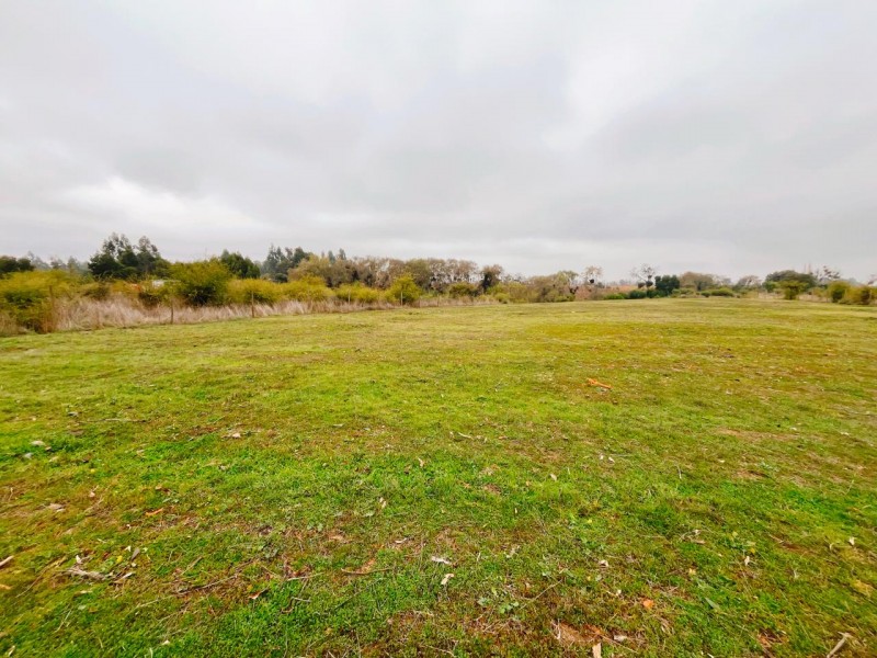 Se Vende Parcela de 5.500 Mts2 en los Maquis, San Rafael
