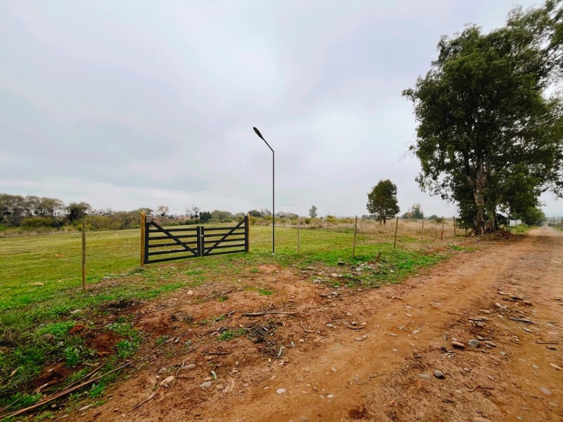 Se Vende Parcela de 5.500 Mts2 en los Maquis, San Rafael