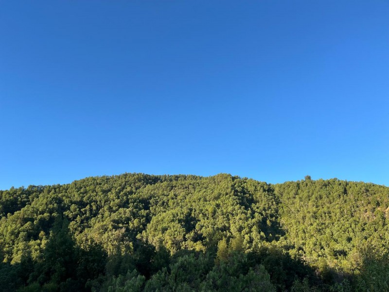Venta de 48 Hectáreas y Dos Casas, Cajón de Pejerrey Linares