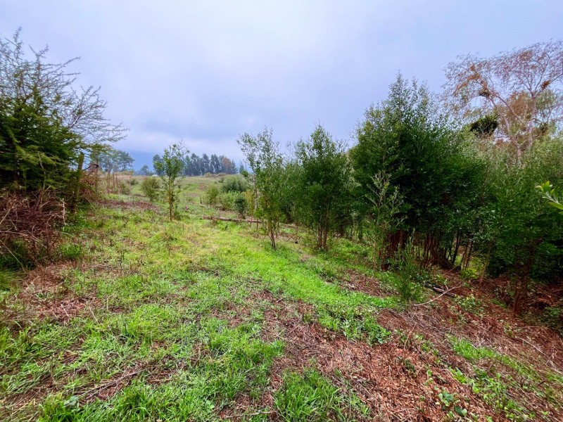 Se Vende Parcela de 5.500 Mts2 en los Maquis, San Rafael