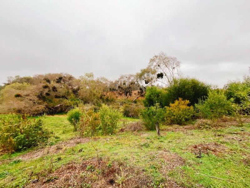 Se Vende Parcela de 5.500 Mts2 en los Maquis, San Rafael