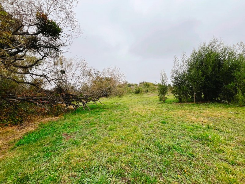Se Vende Parcela de 5.500 Mts2 en los Maquis, San Rafael