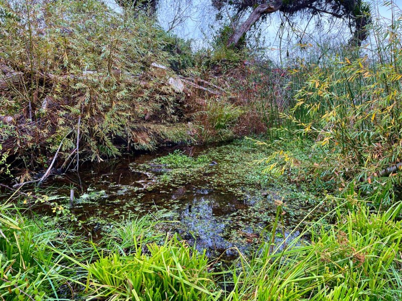 Se Vende Parcela de 5.500 Mts2 en los Maquis, San Rafael