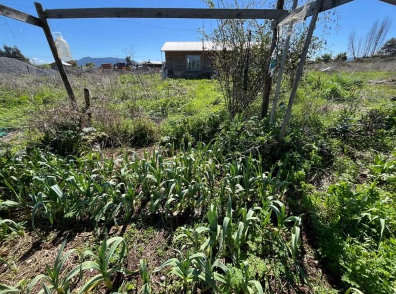 Se Vende Parcela de 5.200 Mts2 Punta Diamante San Clemente