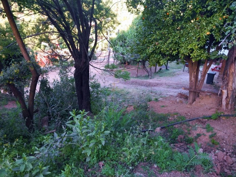 Venta de 48 Hectáreas y Dos Casas, Cajón de Pejerrey Linares