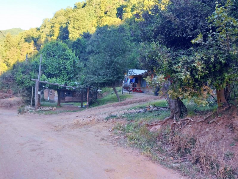 Venta de 48 Hectáreas y Dos Casas, Cajón de Pejerrey Linares