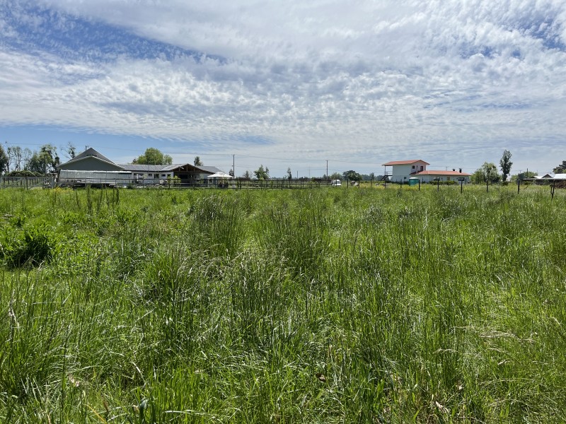 Venta Casa Principal y Casa Anexa en Parcela de 5Mil Mts2.