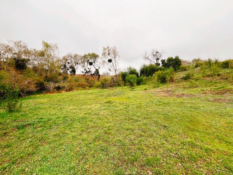 Se Vende Parcela de 5.500 Mts2 en los Maquis, San Rafael