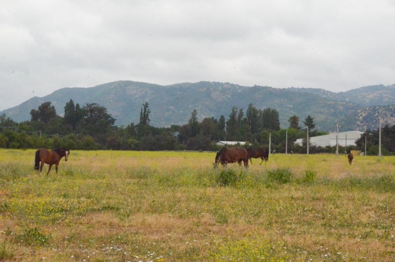 Parcelas en Venta Comalle