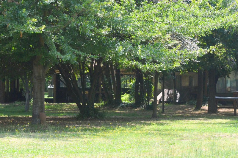 Terreno Comercial en Venta Molina Centro