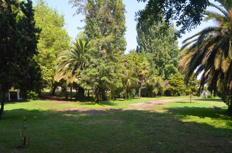 Terreno Comercial en Venta Molina Centro