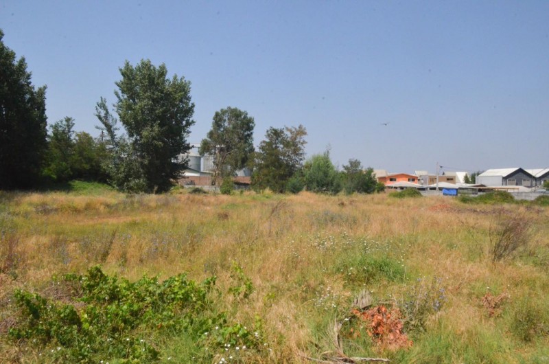 Terreno Comercial en Venta Molina Centro