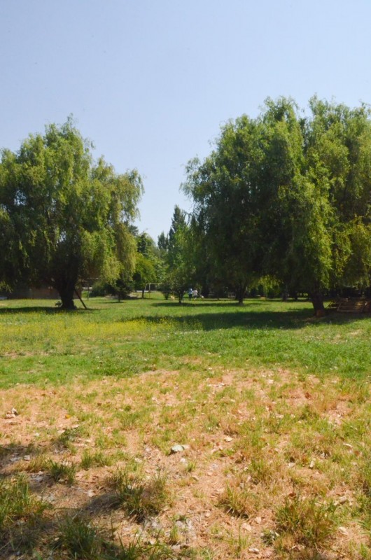 Terreno Comercial en Venta Molina Centro