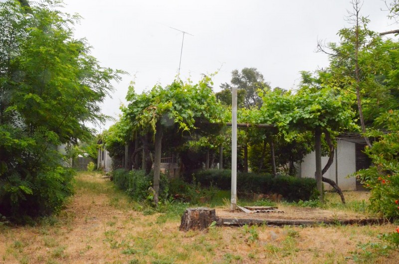 Casa en Venta Teniente Cruz Teno 4D2B