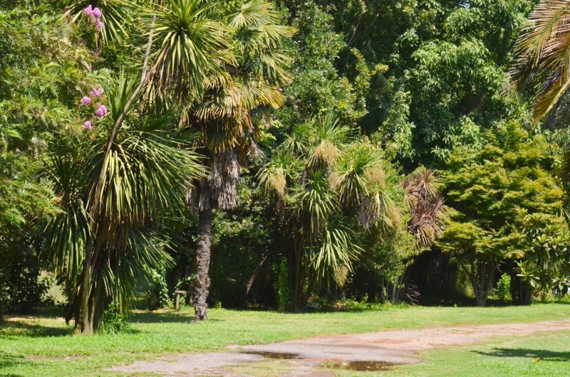 Terreno Comercial en Venta Molina Centro