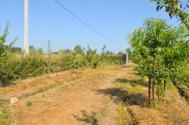 Parcela Con Casa en Venta los Niches