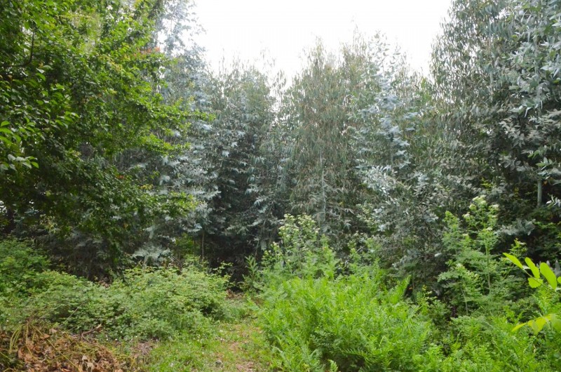 Casa en Venta Teniente Cruz Teno 4D2B