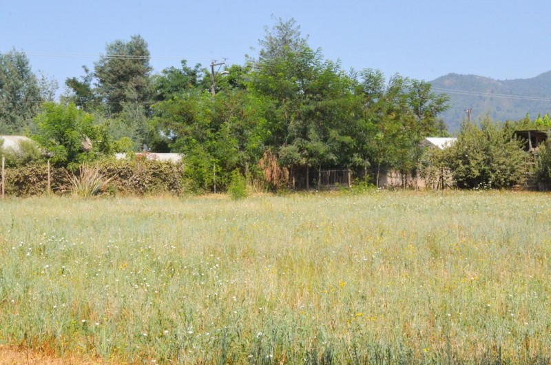 Terreno en Venta Alupenhue