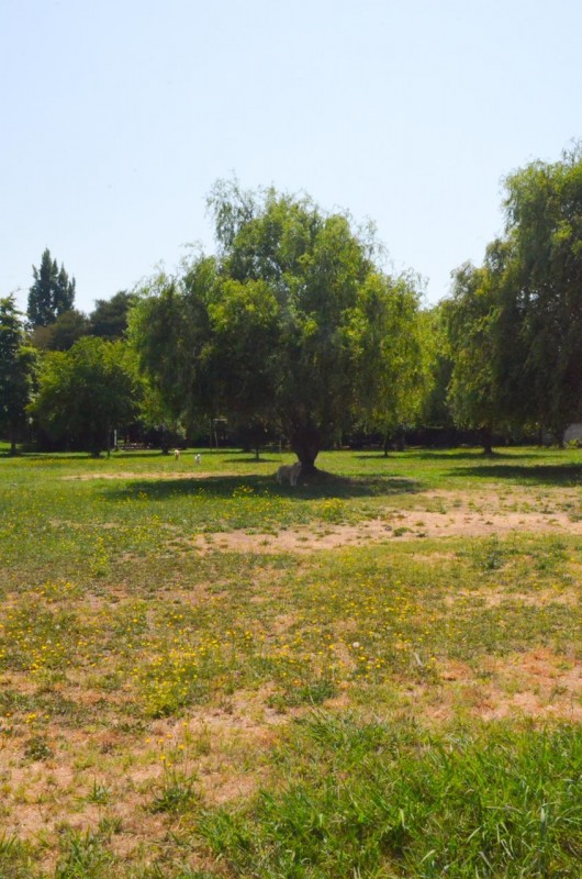 Terreno Comercial en Venta Molina Centro