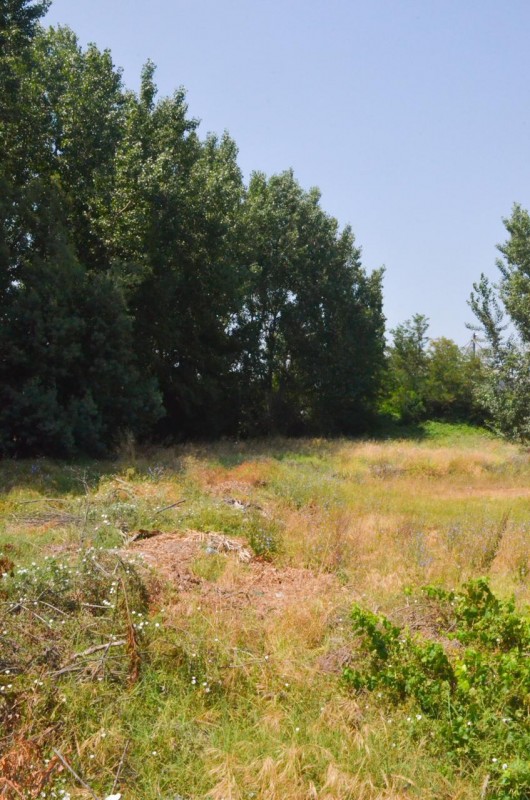 Terreno Comercial en Venta Molina Centro