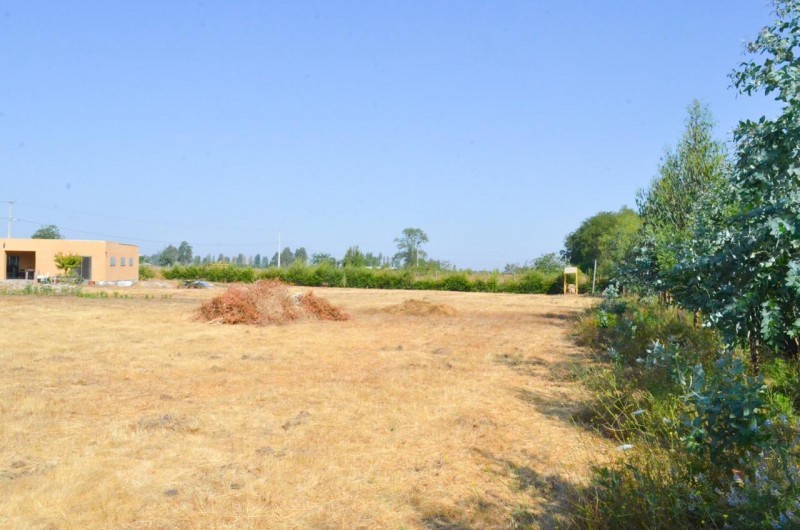 Parcela Con Casa en Venta los Niches