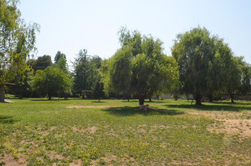 Terreno Comercial en Venta Molina Centro