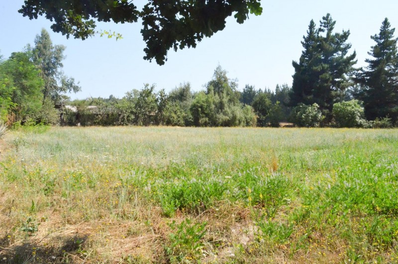 Terreno en Venta Alupenhue