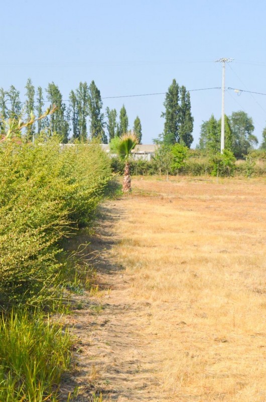 Parcela Con Casa en Venta los Niches