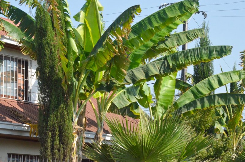 Arriendo A Empresas Casa Comercial Sol de Septiembre Ccó.