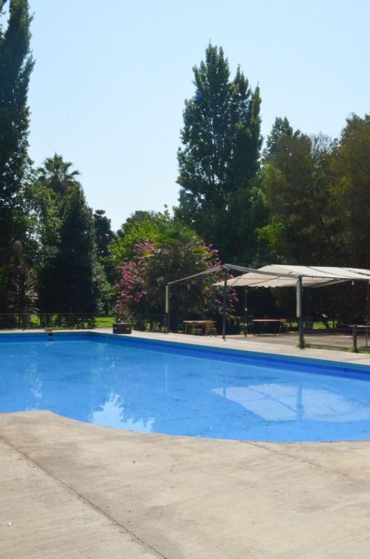 Terreno Comercial en Venta Molina Centro