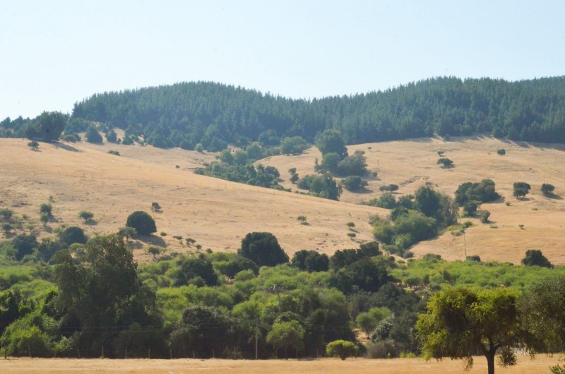 Casa Nueva en Venta Sector Guindo Alto Comalle